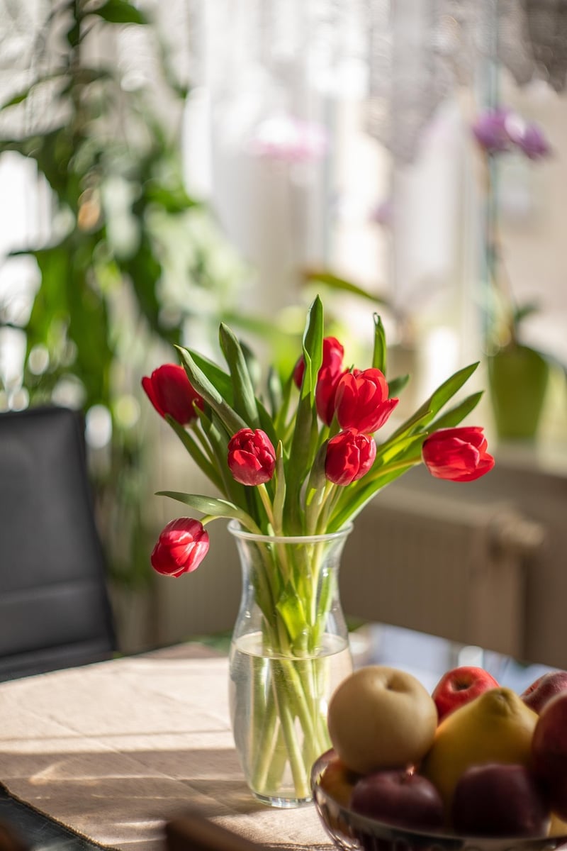Indoor Plant Arrangement
